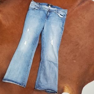 Torrid size 22R boot cut distressed jeans